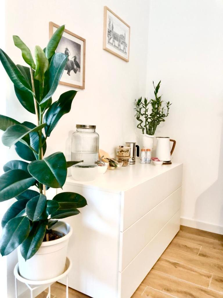Stanza E Bagno Privato, Idromassaggio Con Extra Fee, In Appartamento 费拉拉 外观 照片